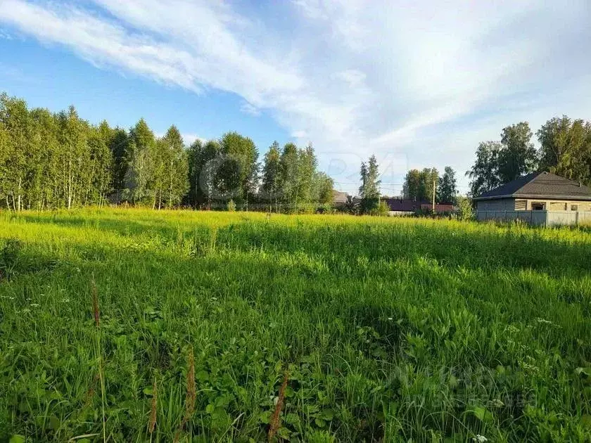 Участок в Тюменская область, Тюменский район, д. Решетникова  (8.0 ... - Фото 1