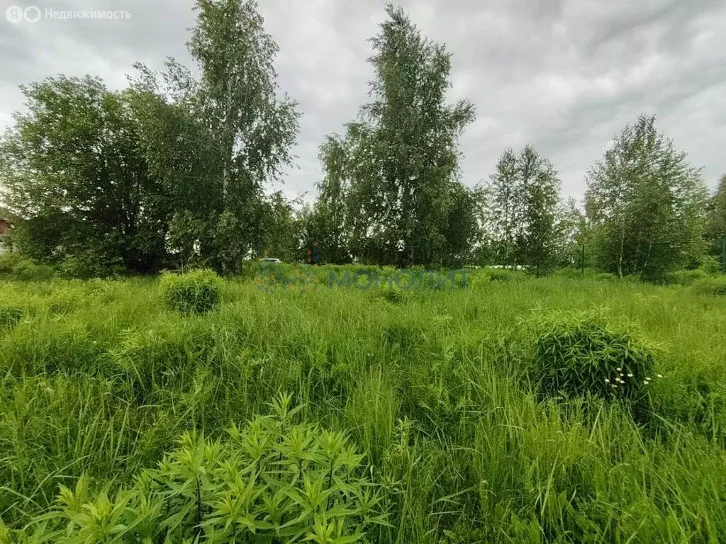 Участок в городской округ Нижний Новгород, село Большая Ельня (9.2 м) - Фото 1