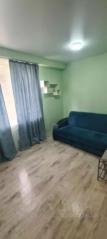 Студия Краснодарский край, Сочи ул. Яна Фабрициуса, 66/6 (22.0 м) - Фото 1