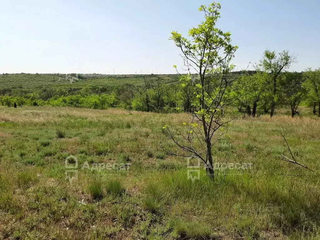 Участок в Волгоградская область, Городищенский район, Царицынское ... - Фото 1