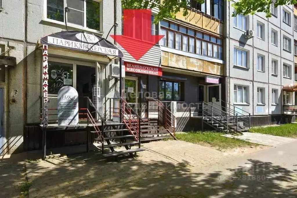 Торговая площадь в Новгородская область, Великий Новгород просп. Мира, ... - Фото 2