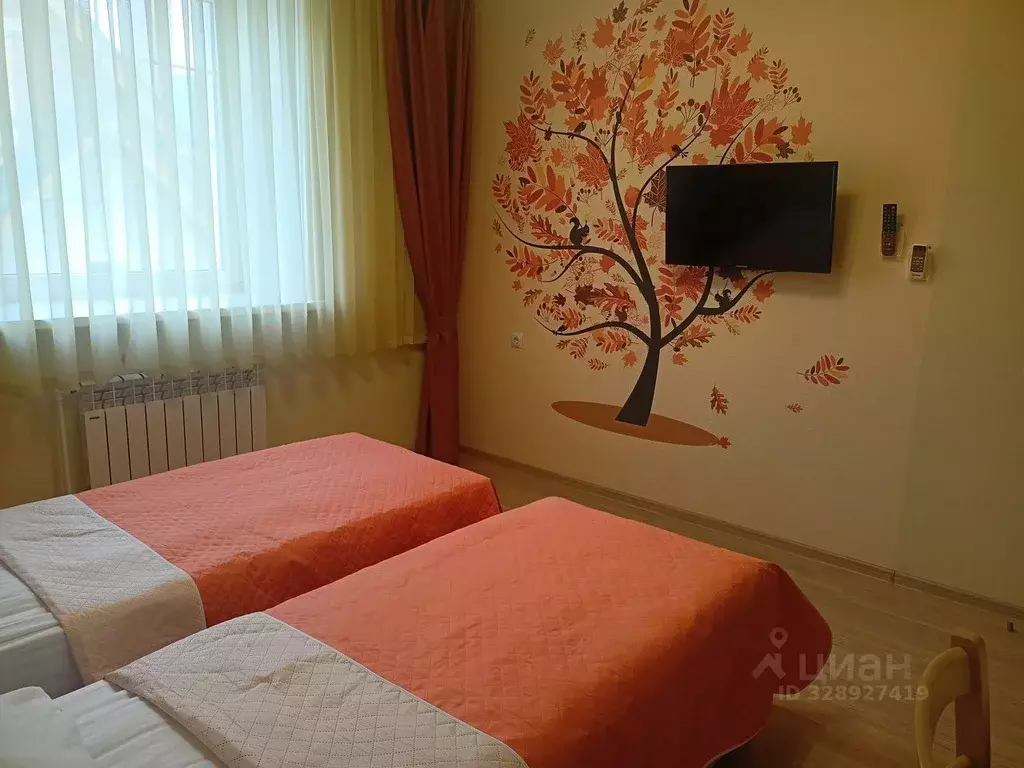 Комната Владимирская область, Суздаль Красноармейская ул., 39 (20.0 м) - Фото 2