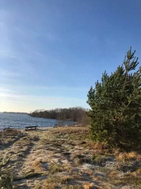 Участок в Новгородская область, Демянский муниципальный округ, д. ... - Фото 0