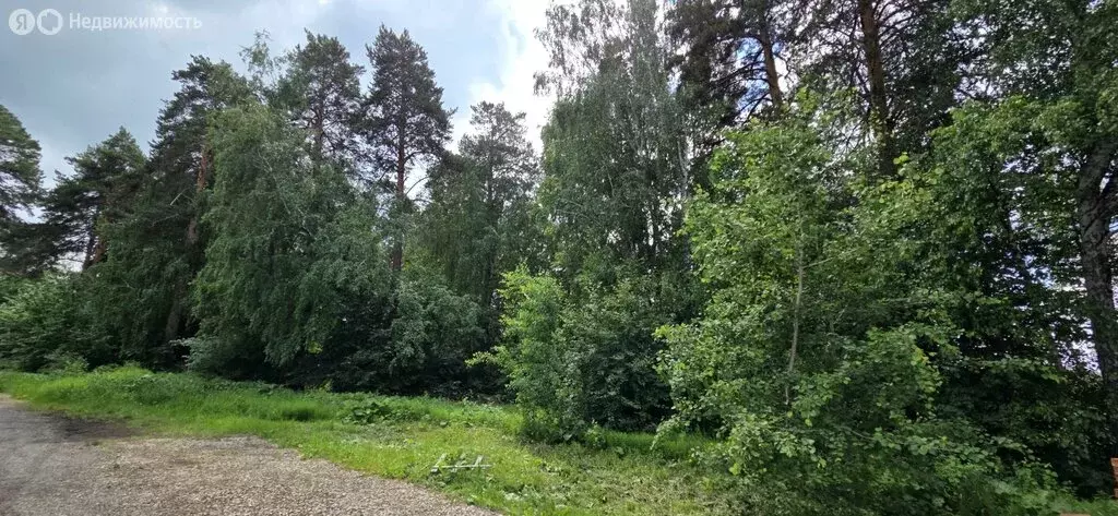 Участок в Свердловская область, муниципальное образование ... - Фото 2