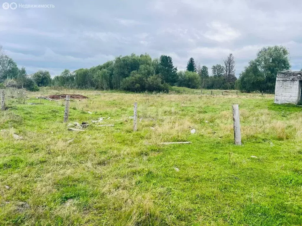 Участок в Чойский район, село Каракокша (64 м) - Фото 2