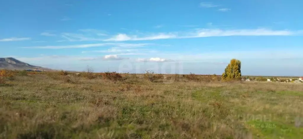 Участок в Крым, Ленинский район, с. Калиновка ул. Шевченко (100.0 ... - Фото 0