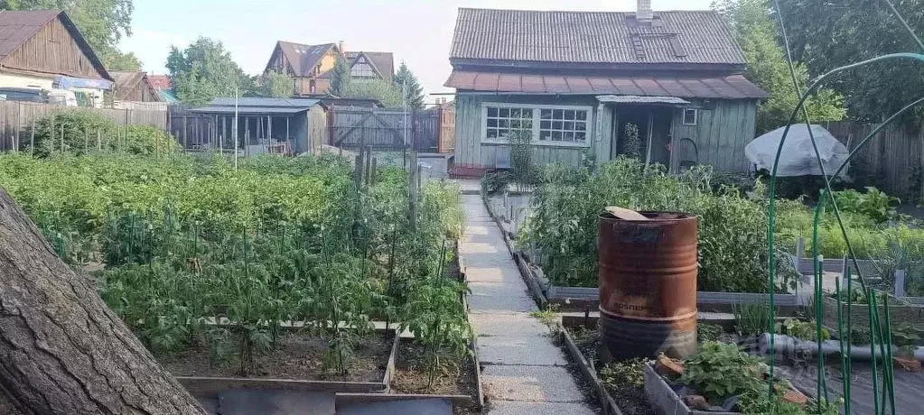 Участок в Амурская область, Благовещенск Артиллерийская ул., 48/9 ... - Фото 1