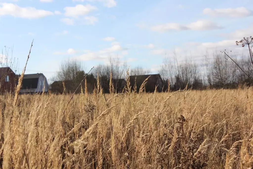 Участок в Москва д. Кузнецово, ул. Березовая, 70 (12.45 сот.) - Фото 2