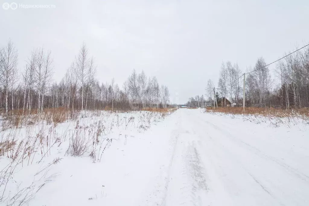 Участок в Колыванский район, Королевский сельсовет (12 м) - Фото 1