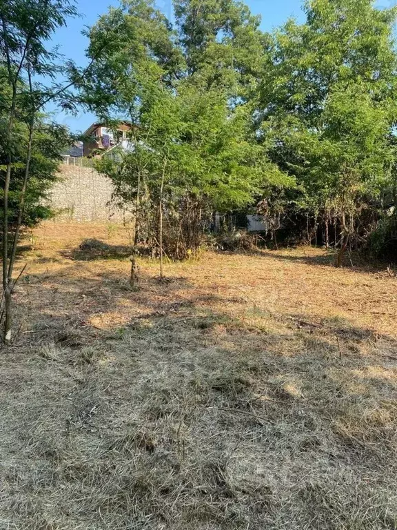 Участок в Краснодарский край, Сочи городской округ, с. Раздольное ул. ... - Фото 1