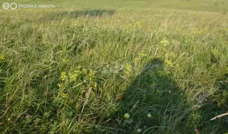 Участок в село Марусино, улица Толстого (4 м) - Фото 1