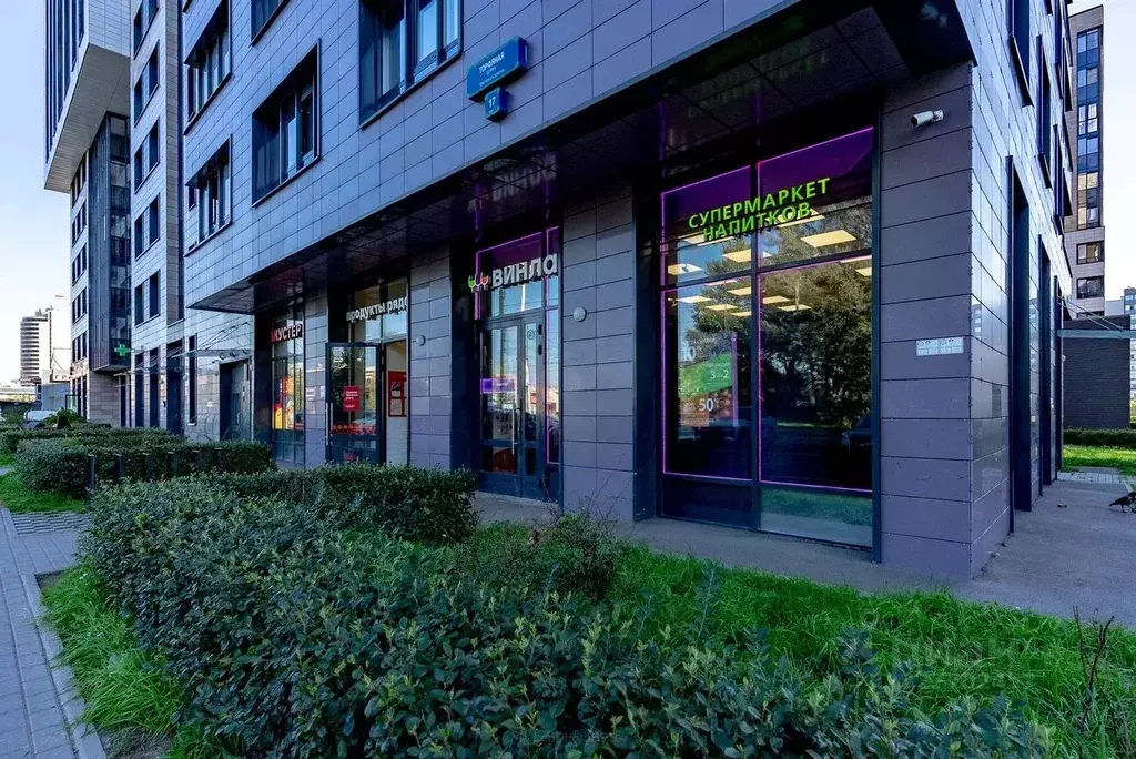 1-к кв. Санкт-Петербург дор. Торфяная, 17к1 (36.6 м) - Фото 2