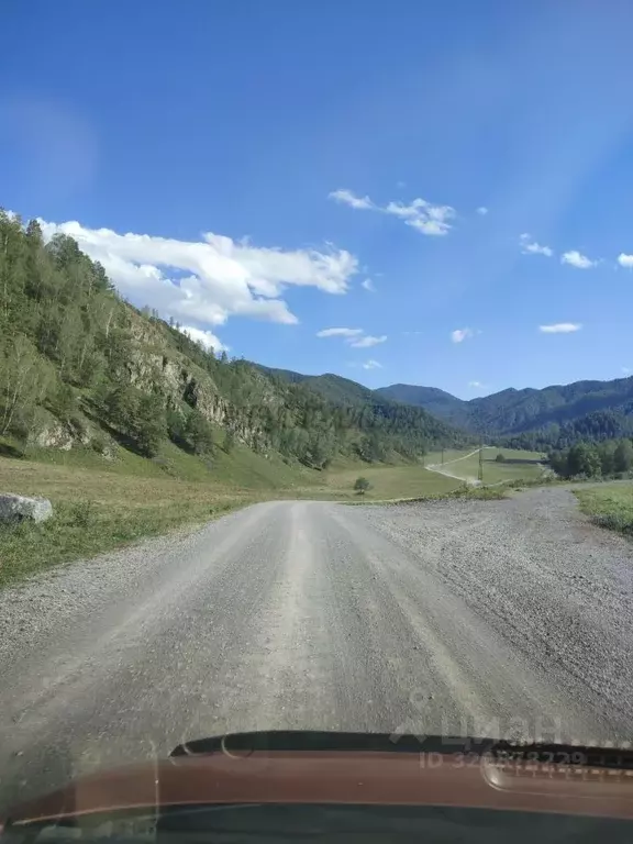 Участок в Алтай, Чемальский район, с. Куюс Центральная ул. (13.0 сот.) - Фото 0