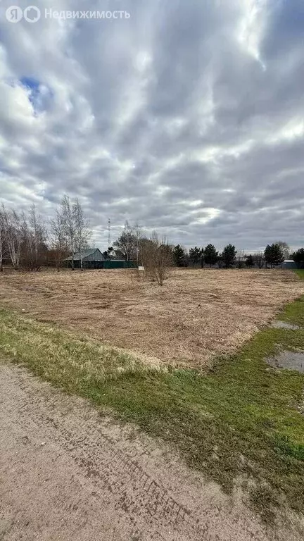 Участок в Московская область, городской округ Ступино, деревня Большое ... - Фото 1