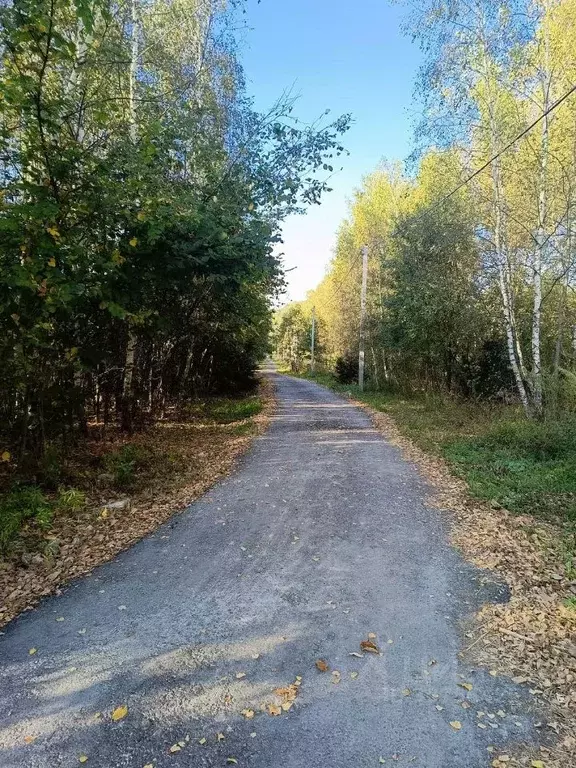 Участок в Московская область, Чехов городской округ, Сентябрь СНТ  ... - Фото 0