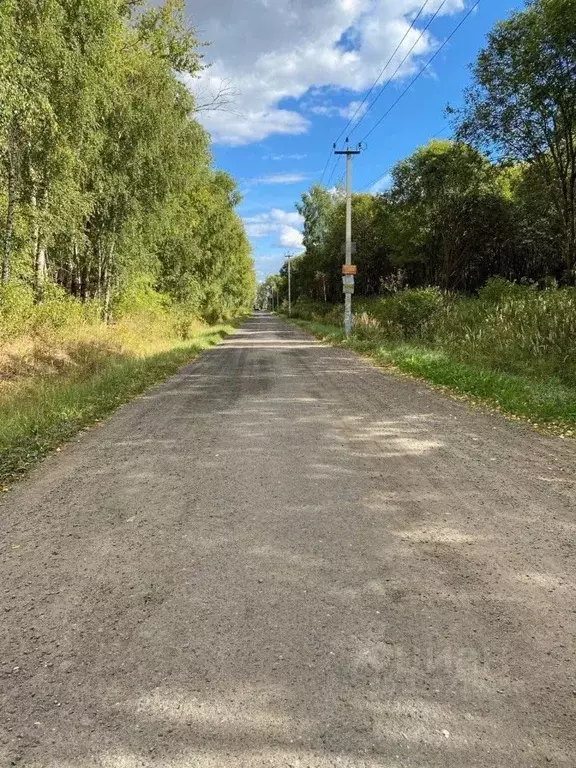 Участок в Московская область, Раменский муниципальный округ, с. ... - Фото 2