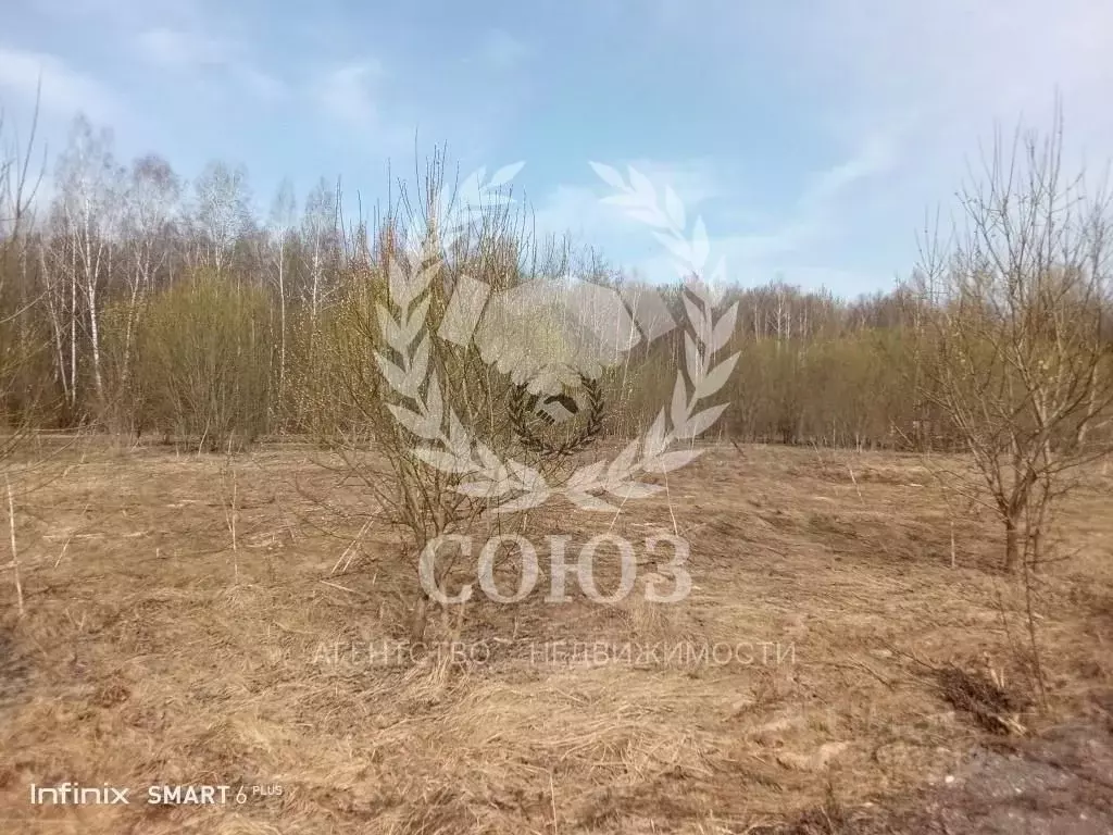 Участок в Калужская область, Калуга городской округ, д. Лихун ул. ... - Фото 2