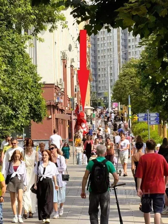 Помещение свободного назначения в Москва ул. Крымский Вал, 8 (225 м) - Фото 2