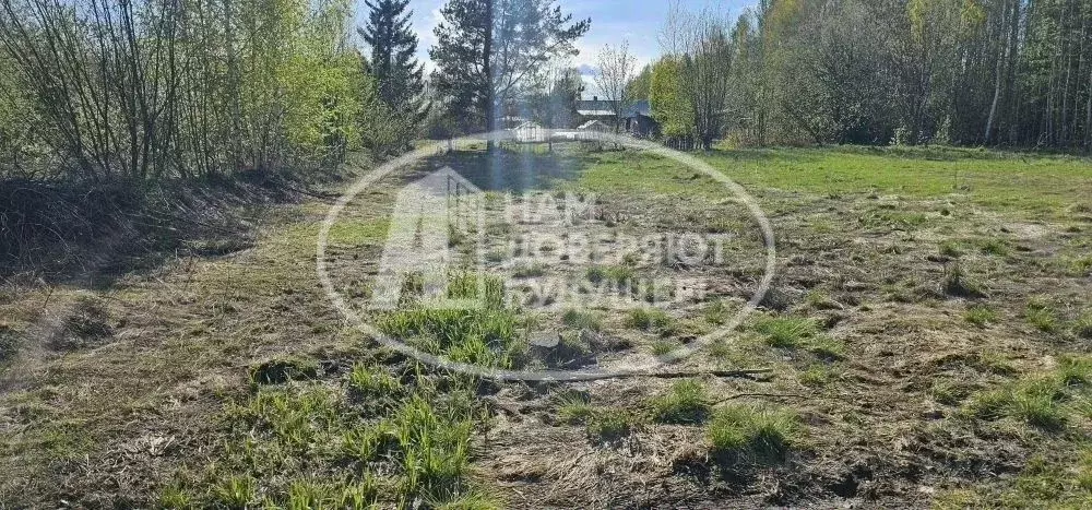 Участок в Пермский край, Добрянка Прикамская ул., 8Б (14.0 сот.) - Фото 1
