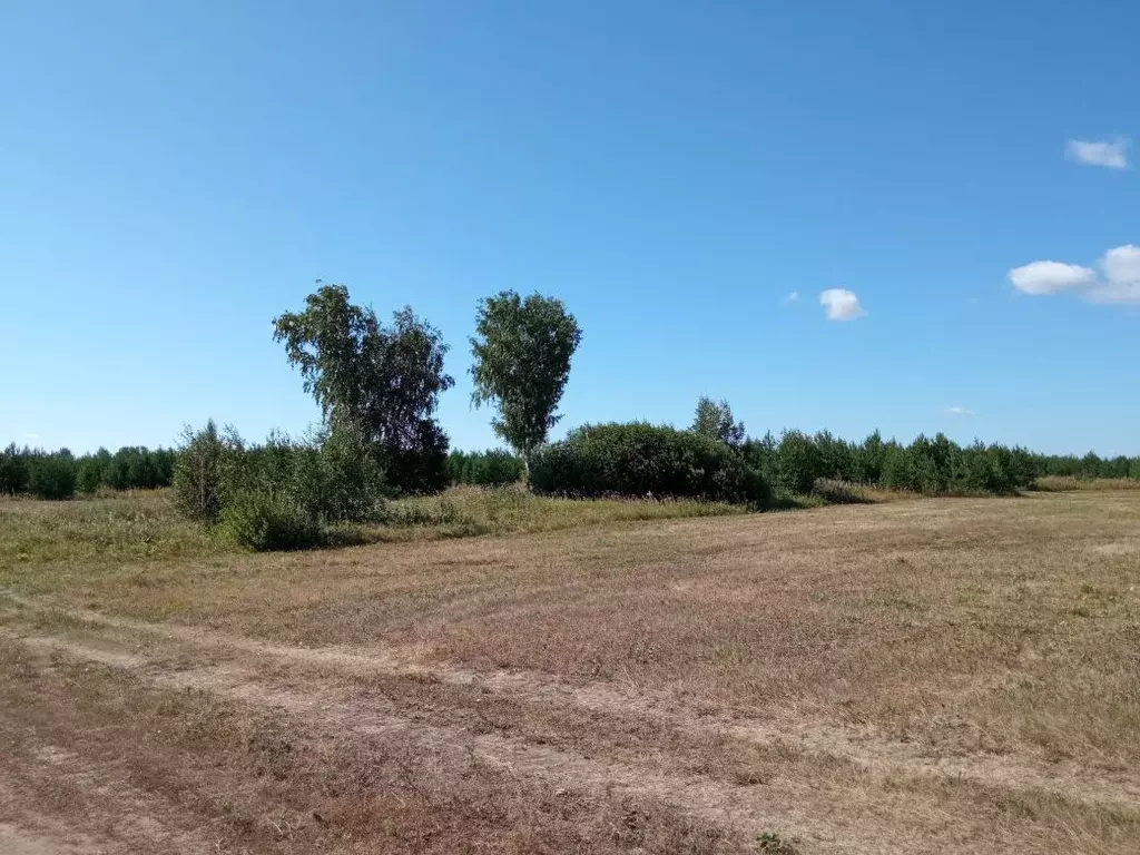 Купить Дом В Деревне Верхняя Боевка