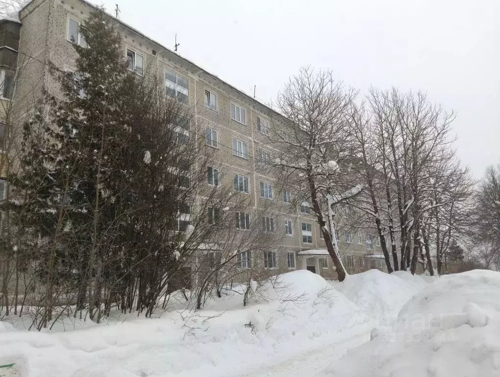 1-к кв. Московская область, Дмитровский муниципальный округ, пос. ... - Фото 1