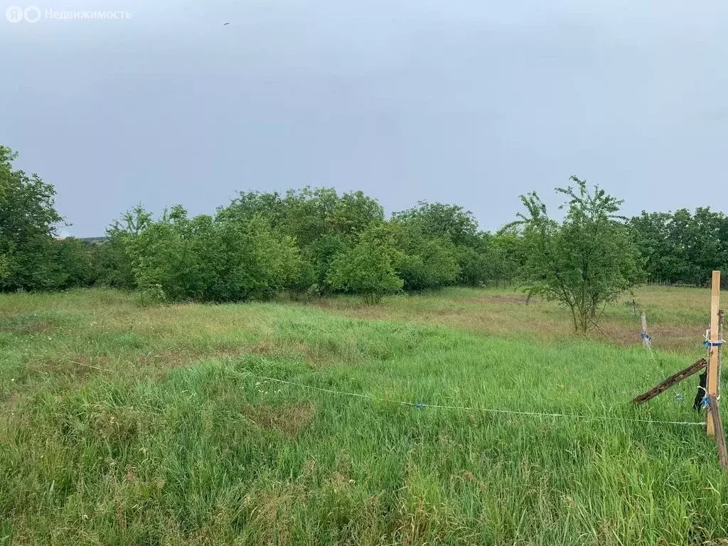 Участок в Чистенькое, улица Калинина, 31 (13.7 м) - Фото 0