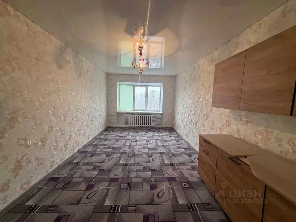 1-к кв. Оренбургская область, Оренбург Томилинская ул., 240 (20.0 м) - Фото 1