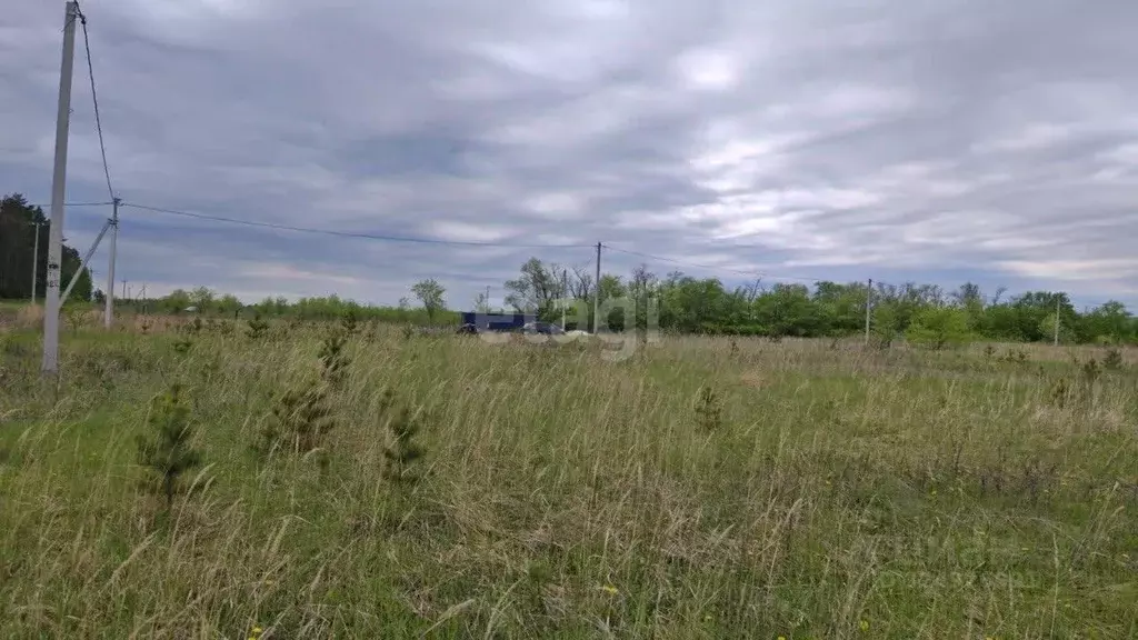 Участок в Ульяновская область, Ульяновск городской округ, с. Луговое ... - Фото 2