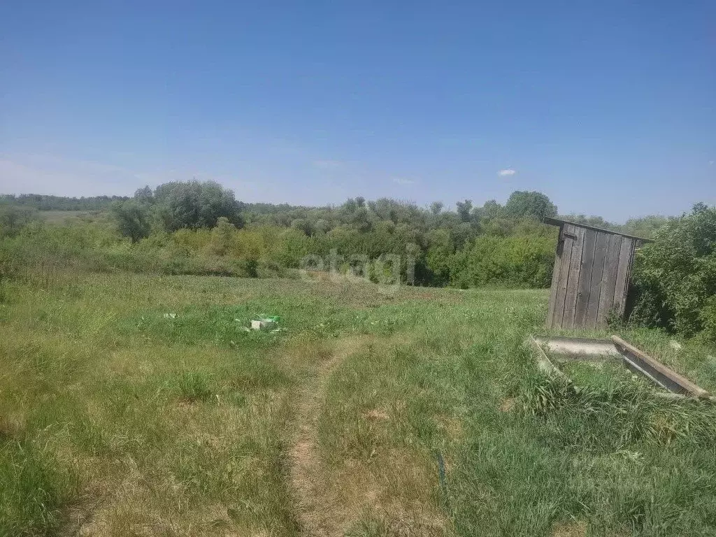 Дом в Белгородская область, Красногвардейский район, Никитовское ... - Фото 1