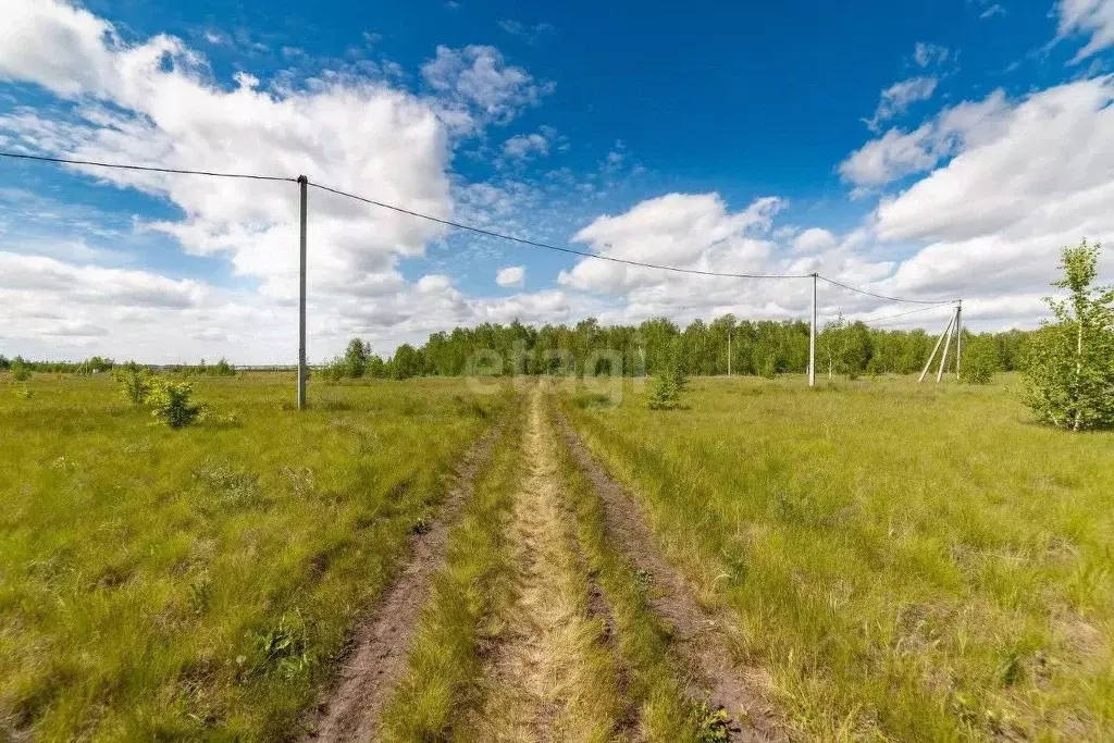 Участок в Курганская область, Кетовский муниципальный округ, с. Новая ... - Фото 0