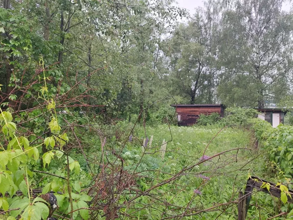Участок в Московская область, Богородский городской округ, Юбилейное ... - Фото 0