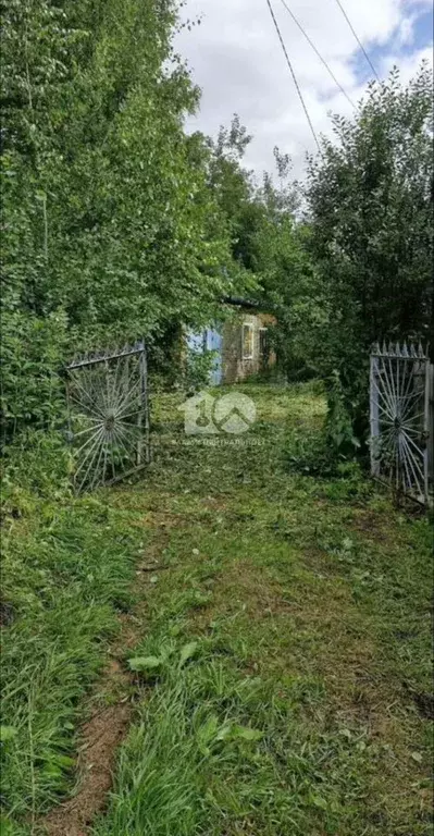 Участок в Новосибирская область, Новосибирск Звездочка садовое ... - Фото 1