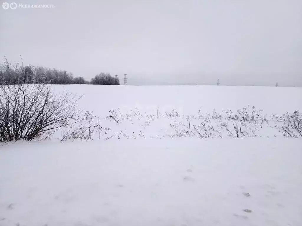 Участок в село Глинищево, улица П.М. Яшенина (10.73 м) - Фото 2