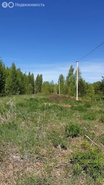 Участок в Гдовский район, Юшкинская волость, деревня Ветвеник (10 м) - Фото 0