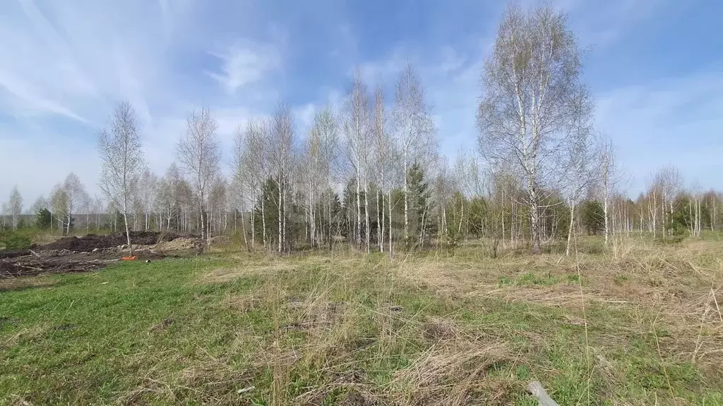 Участок в Кемеровская область, Кемеровский район, д. Солонечная, ... - Фото 0