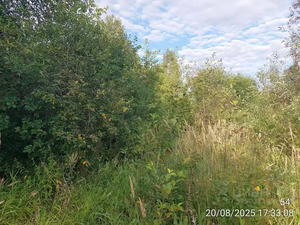 Участок в Московская область, Наро-Фоминский городской округ, д. ... - Фото 1