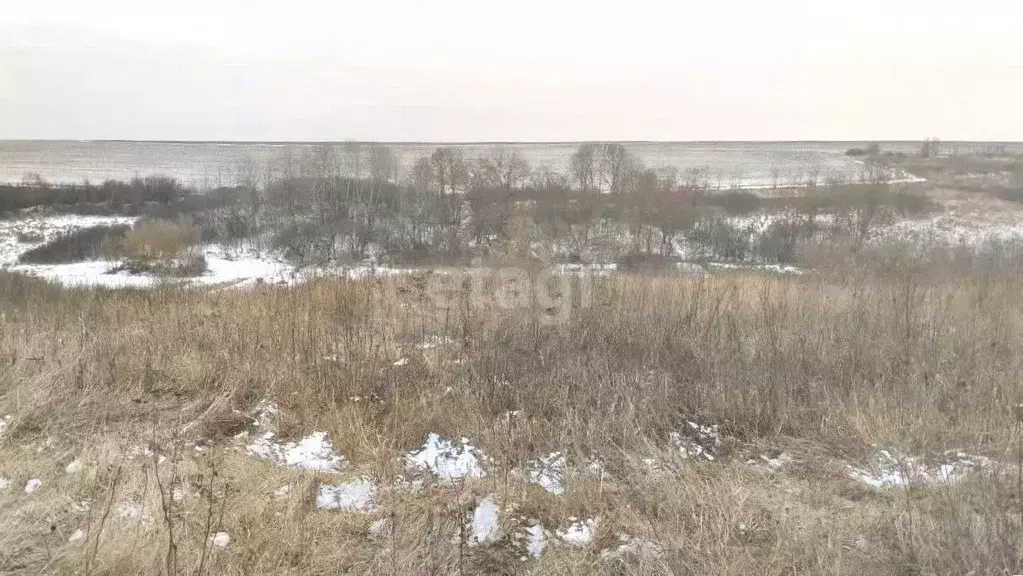 Участок в Белгородская область, Белгородский район, Крутологское ... - Фото 0