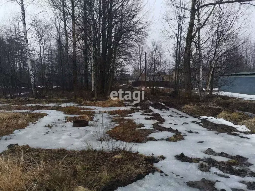 Участок в Ленинградская область, Ломоносовский район, Лебяженское ... - Фото 0