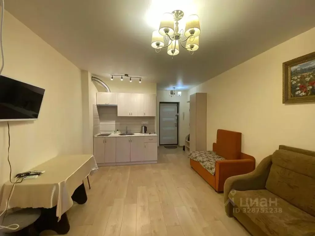 Студия Краснодарский край, Краснодар ул. Им. Сорока А.М., 2 (22.4 м) - Фото 2