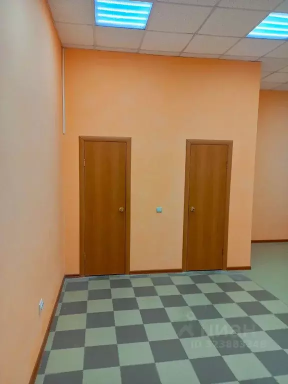 Помещение свободного назначения в Самарская область, Чапаевск ул. ... - Фото 2