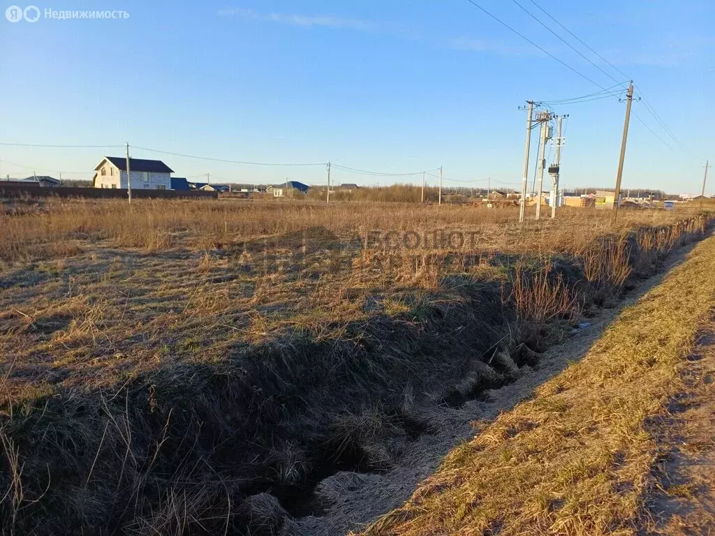 Участок в Новгородский муниципальный район, Савинское сельское ... - Фото 2