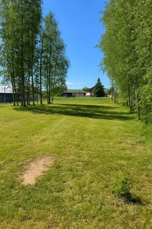 Участок в Воронежская область, Рамонский район, с. Новоживотинное  ... - Фото 1