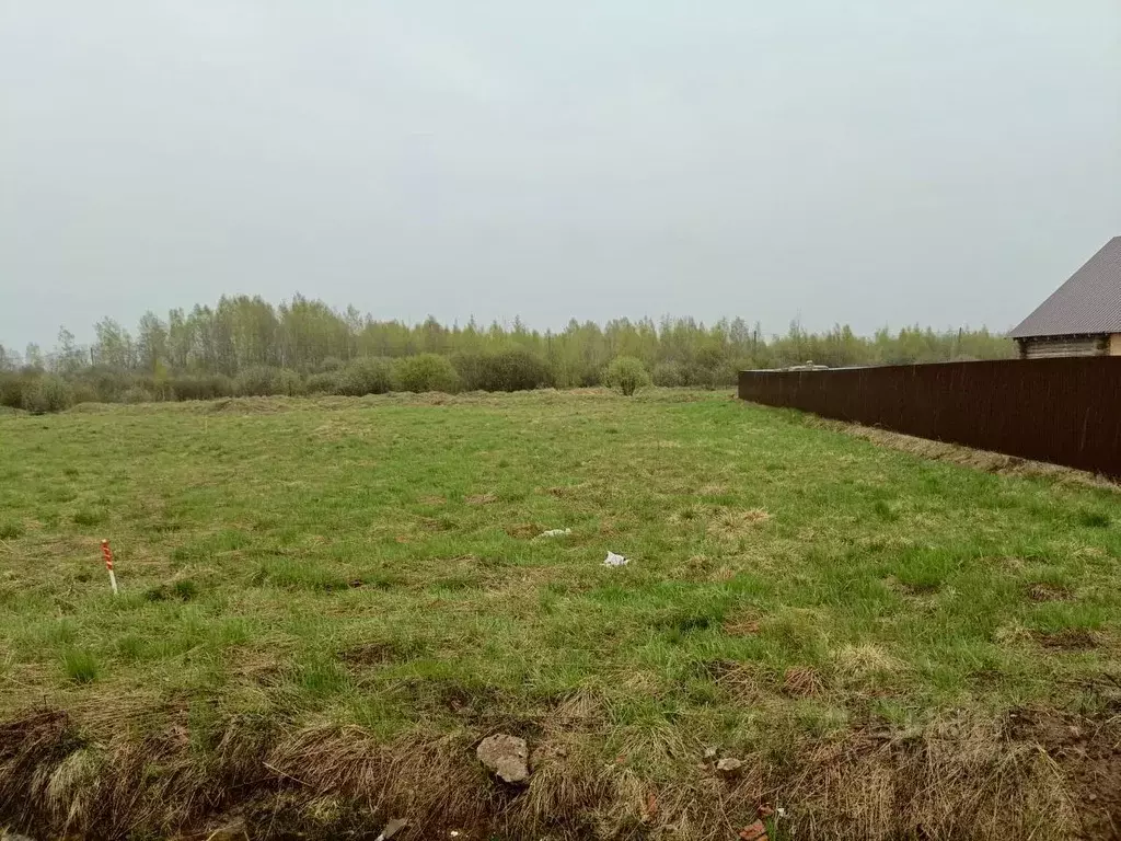 Участок в Ярославская область, Тутаевский муниципальный округ, д. ... - Фото 2