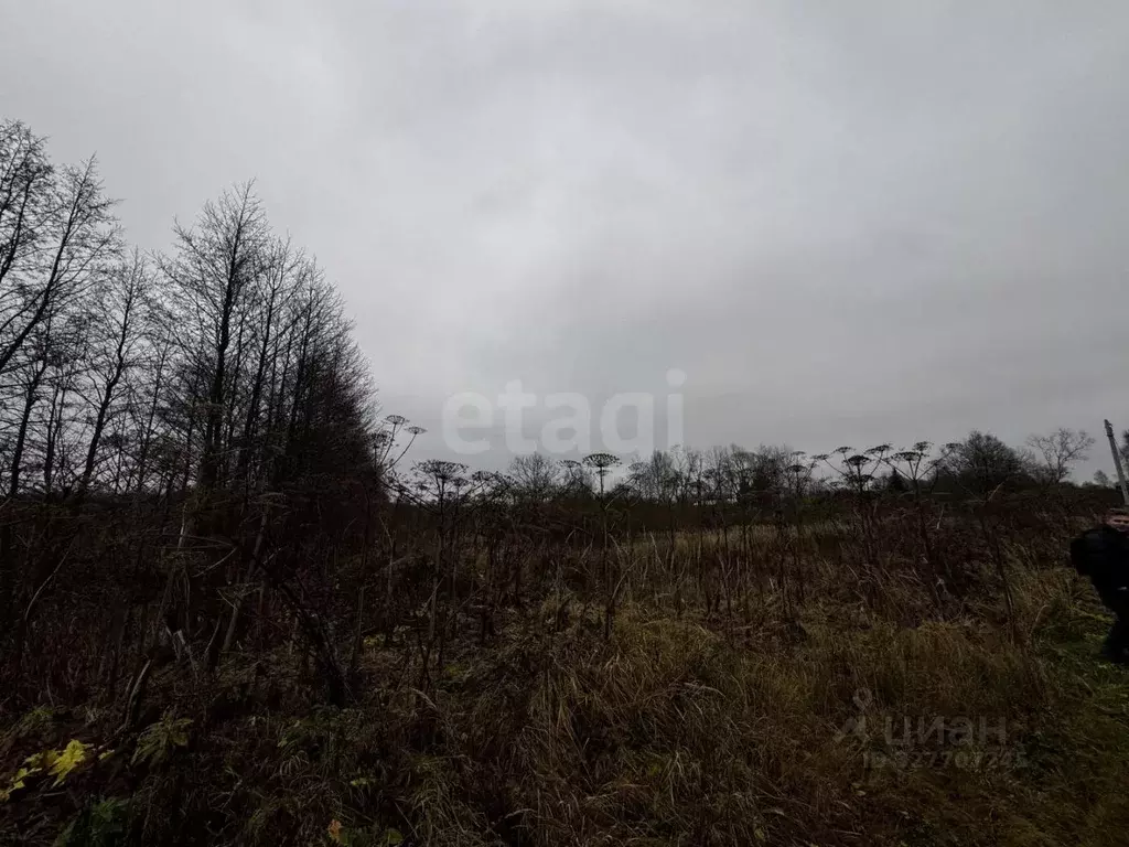 Участок в Тверская область, Калининский муниципальный округ, с. ... - Фото 1