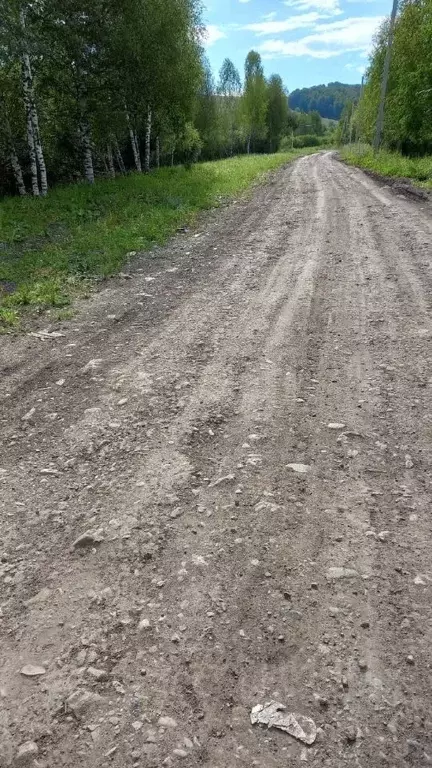 Участок в Алтай, Горно-Алтайск Сосновая ул., 56 (140.0 сот.) - Фото 1