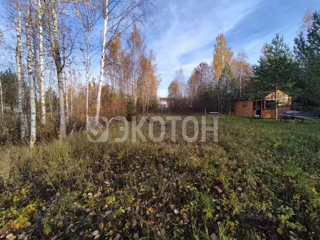 Участок в Ленинградская область, Всеволожский район, Рахьинское ... - Фото 1