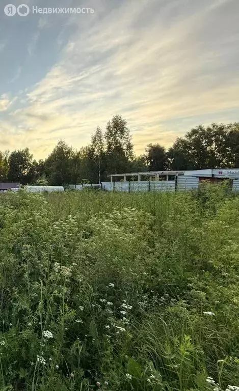 Участок в село Ленинское, 2-я Молодёжная улица (5.5 м) - Фото 1