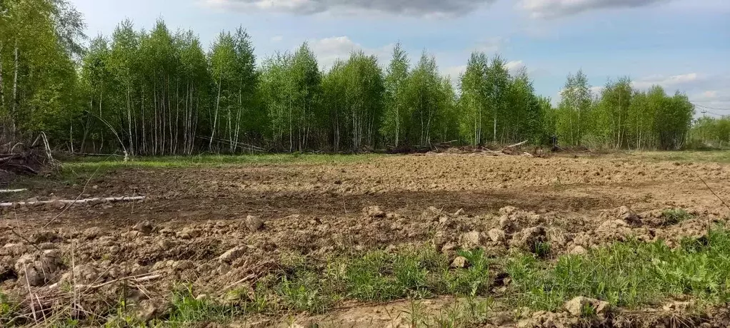 Участок в Московская область, Раменский муниципальный округ, с. ... - Фото 0