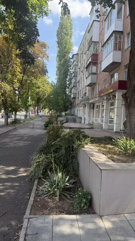 1-к. квартира, 31 м, 3/5 эт. - Фото 0