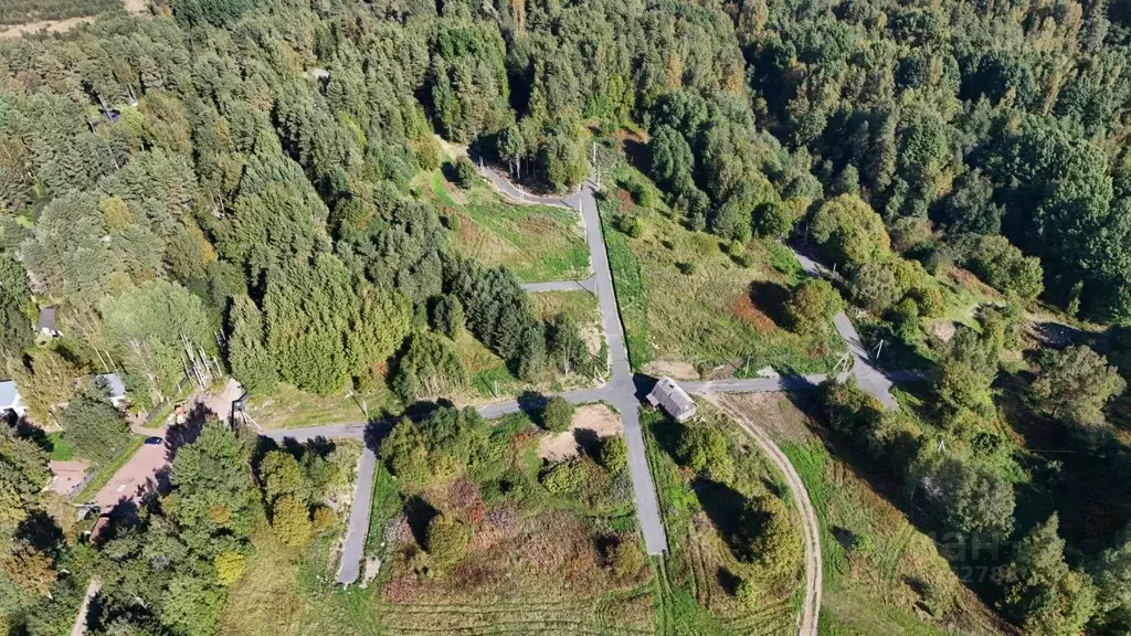 Участок в Ленинградская область, Приозерский район, Красноозерное ... - Фото 1
